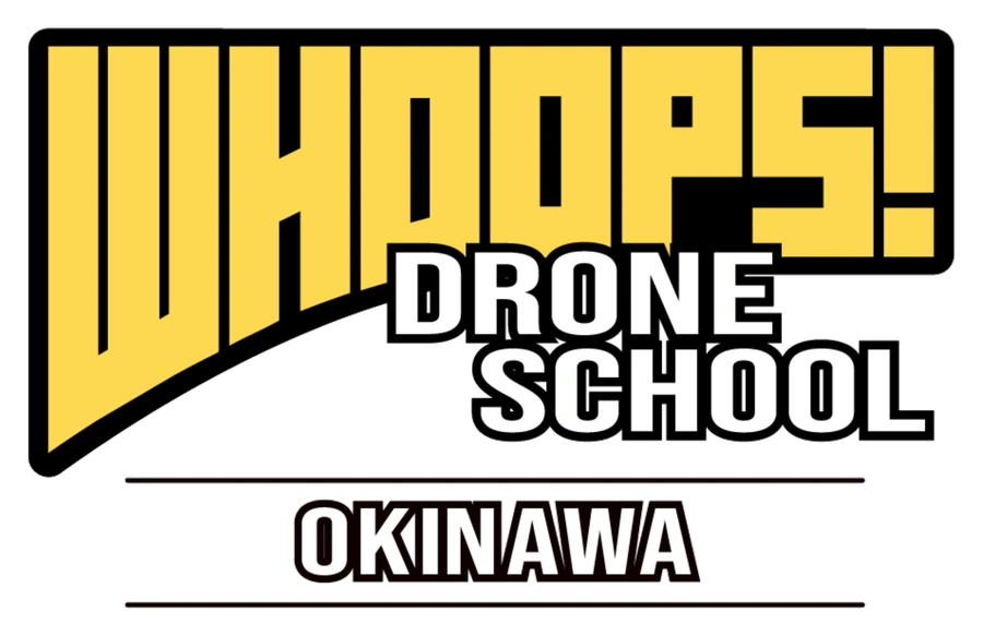 WHOOPS! DRONE SCHOOL