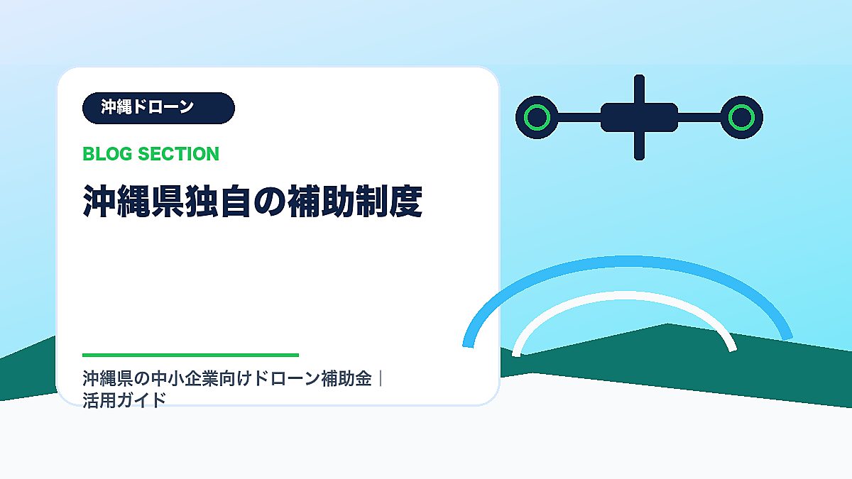 「沖縄県独自の補助制度」の見出し画像