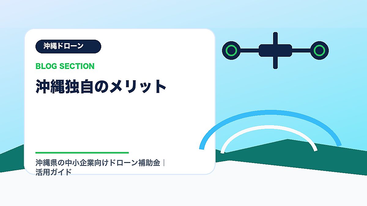 「沖縄独自のメリット」の見出し画像