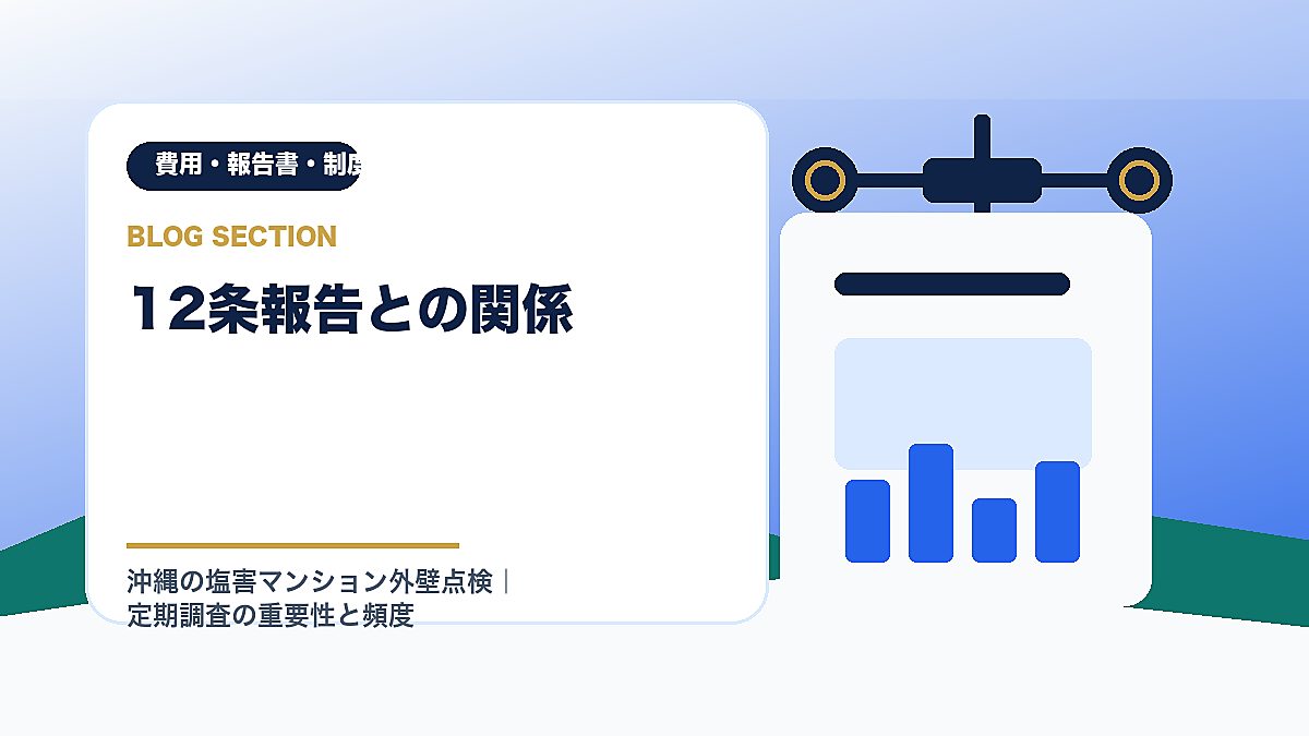 「12条報告との関係」の見出し画像