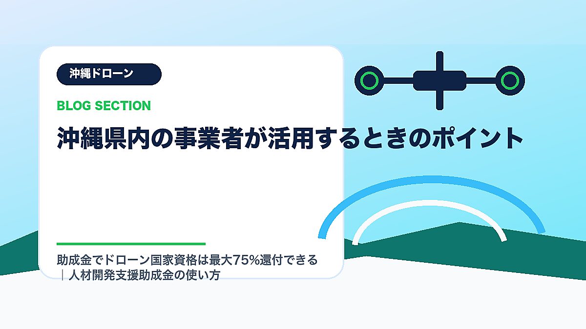 「沖縄県内の事業者が活用するときのポイント」の見出し画像