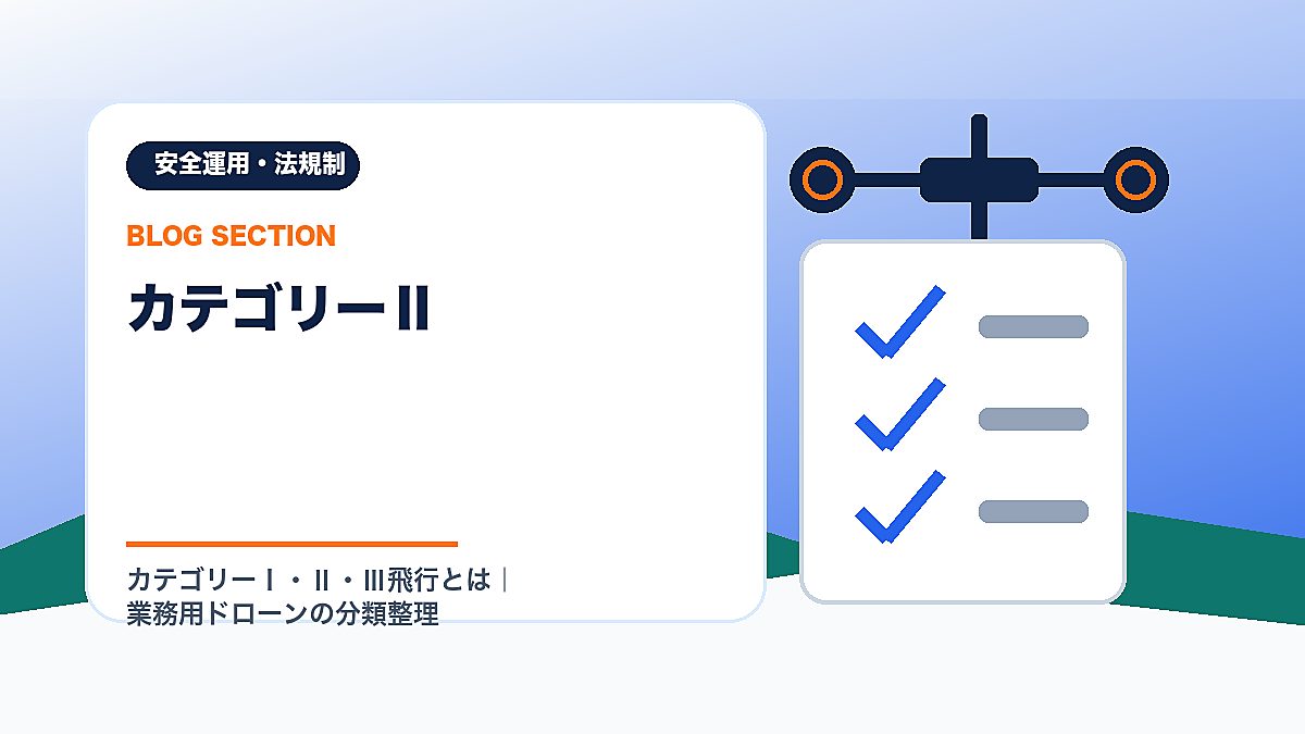 「カテゴリーⅡ」の見出し画像