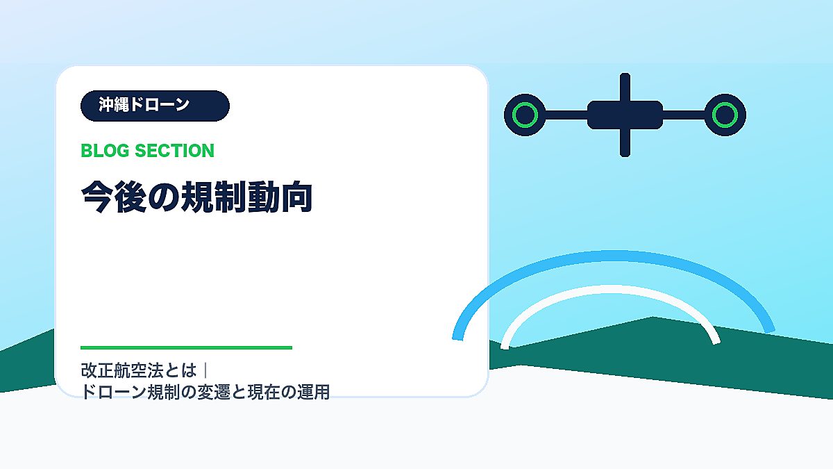 「今後の規制動向」の見出し画像